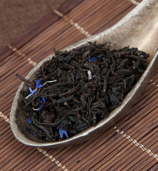 Sloane Teas at The Whistling Elk